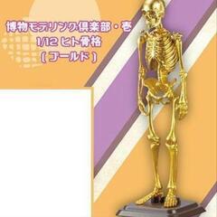 限定ガチャ
