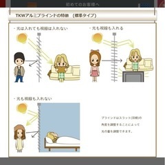 ブラインドカーテン：幅157x丈202cmの画像