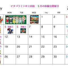「5月の無料体験会」のお知らせの画像