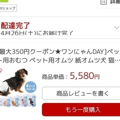 犬用オムツ　S オスメス兼用の画像