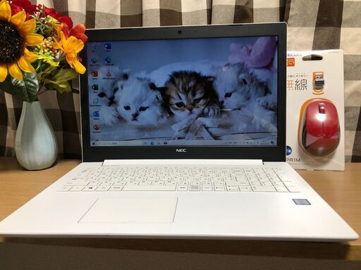 ☆シンビジューム☆CYM 'ゴールドシップ'☆ストレート☆6号鉢☆4F