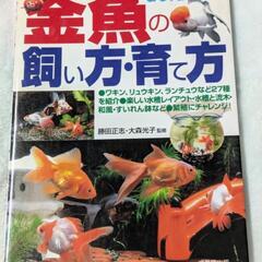 6/30まで　No.58【5】金魚の飼い方・育て方　金魚のいる楽...