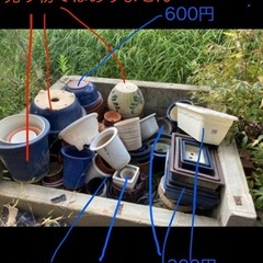 ガーデニング、鉢の画像