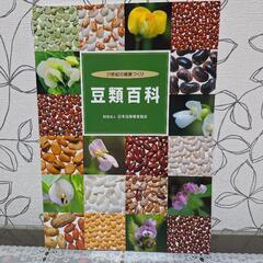 豆類百科