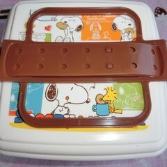 新品　ピクニック用　アウトドア用　ランチボックス