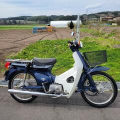 ホンダ スーパーカブ カスタム50 原付の画像