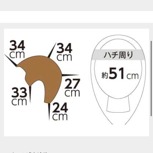 カットウィッグ 新品
