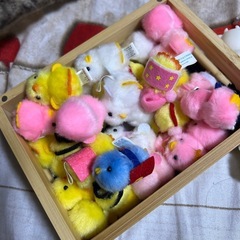 ぴよりーな🐣まとめ売り！の画像