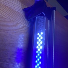 【決まりました】ゼンスイ　60cm水槽用LED照明 の画像