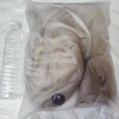 サメ きぐるみブランケット