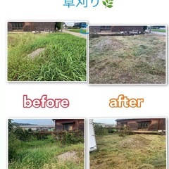 草刈り🌿‬