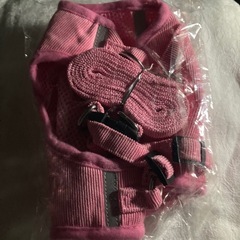 ハーネスリードセットの画像
