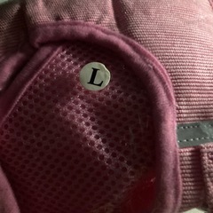ハーネスリードセットの画像