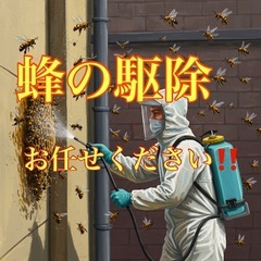 蜂の巣駆除お任せください‼️