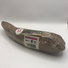 GEX 天然流木 SS 約28.5cmの画像