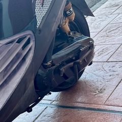 スズキ　セピアZZ スワップ車両　不動 の画像