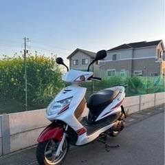 低走行 美車 ヤマハ シグナスX 2型 SE44J 国内 限定車 関東圏無料配送の画像