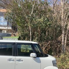 草刈り木々伐採