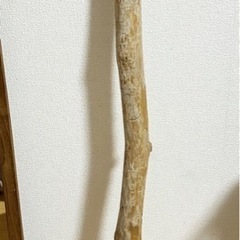 流木(セレクトショップにて購入
)
