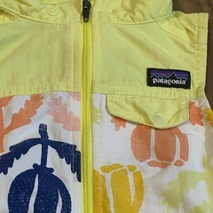 5T ベスト　パタゴニアpatagonia の画像