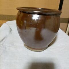 小さな瓶