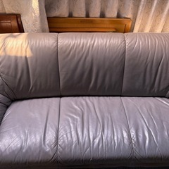 5月いっぱい、受け取りに来れる方限定の画像