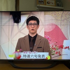 55型ハイセンステレビ