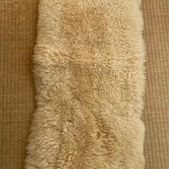 毛布の小さい分