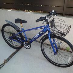 子供用自転車(DRIDE S3)