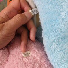 ポケモン　プリンのみ　でっかいぬいぐるみの画像