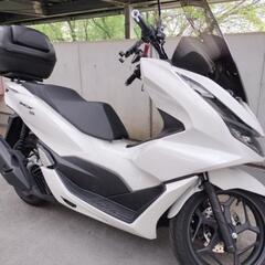 🉐装備充実2500K ！令6.8月登録 PCX125　JK05👍