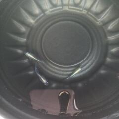 5/4めだか販売の画像