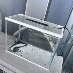 [本日中の取引限定]水槽 セット
