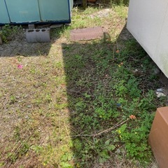 草刈り、草むしり