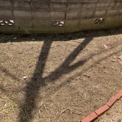草刈り、草むしり − 愛媛県