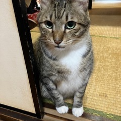 はじめまして