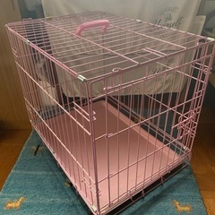 猫ゲージの画像