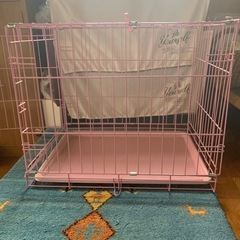 猫ゲージの画像