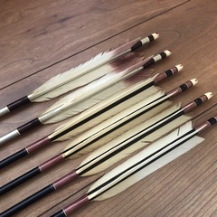 EASTON2014 ターキー ジュラ矢 100cm 6本　　弓...