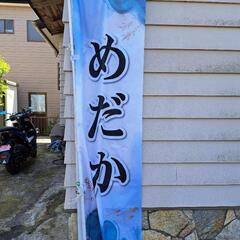 2025/05/04 めだか