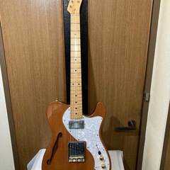 富士弦フジゲン テレキャスター