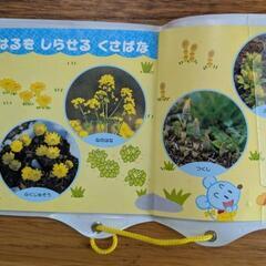 絵本①最終セール！チャイルドブックジュニア12冊＋お出かけ図鑑　年少向け　の画像