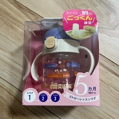 ストローレッスンマグ