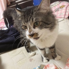 たくさんの問い合わせありがとうございます