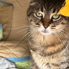 たくさんの問い合わせありがとうございます
