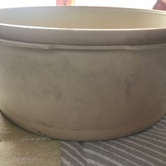 直径20センチ