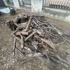 桜の木　枝　木材