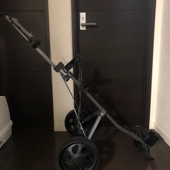 ジュニアゴルファーにどうですか？ゴルフ手押しカート❗️