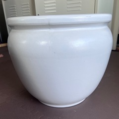陶器 直径40cm 大型 観葉植物 鉢 ポッド 