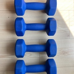 青ダンベル 5kg×4 　 